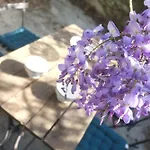 La Sagnarde Terrasse Intime Prázdninový dům