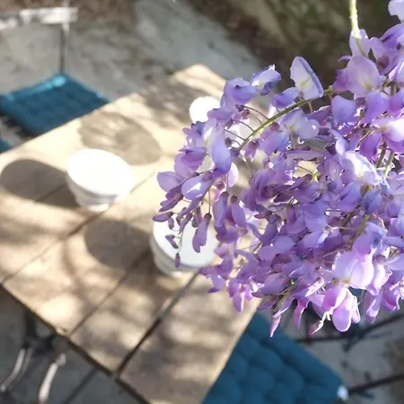 La Sagnarde Terrasse Intime Tatil Evi